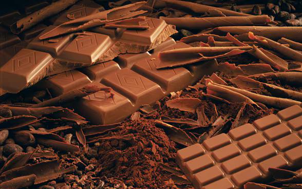 🍫 В Швейцарии ученые вывели формулу экологичного шоколада