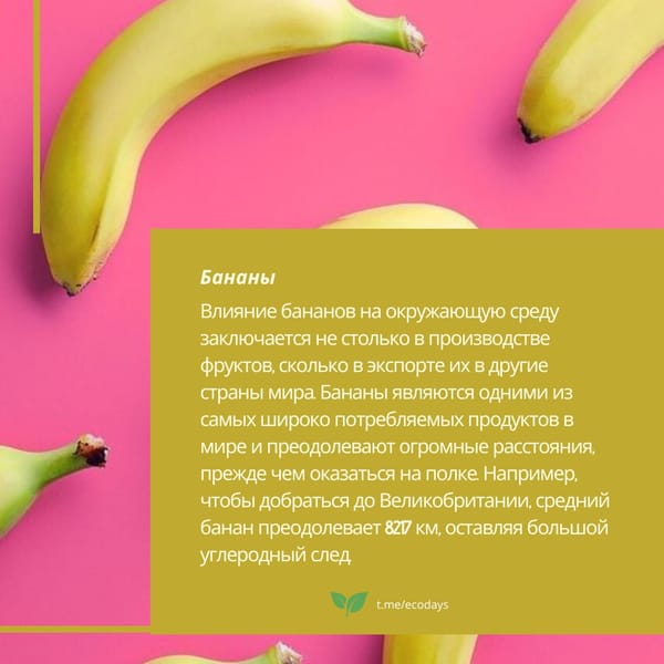Восемь самых неэкологичных продуктов