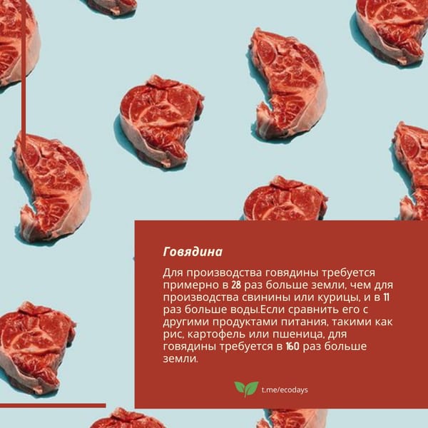 Восемь самых неэкологичных продуктов