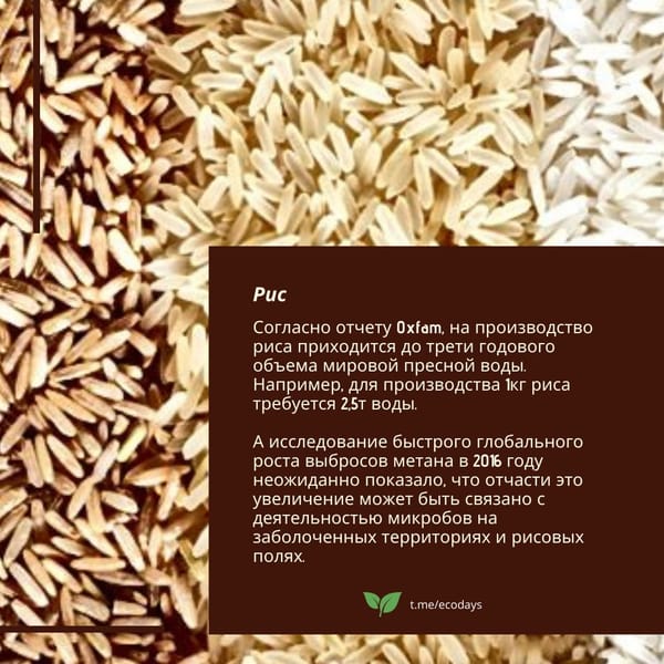 Восемь самых неэкологичных продуктов