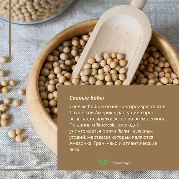 Восемь самых неэкологичных продуктов