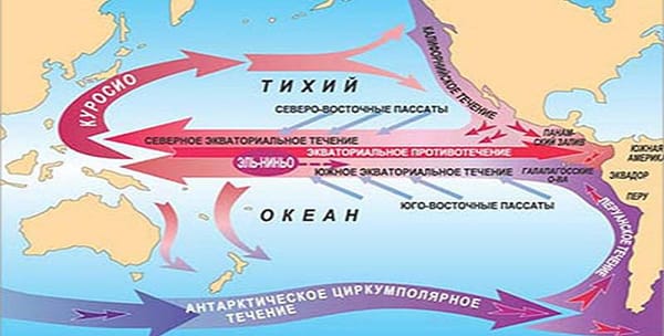 Экословарь: Явления Эль-Ниньо и Ла-Нинья