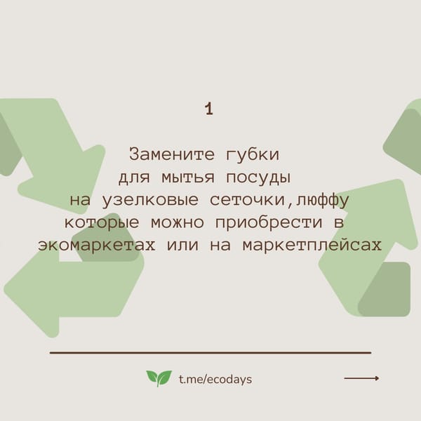 @ecodays 💚