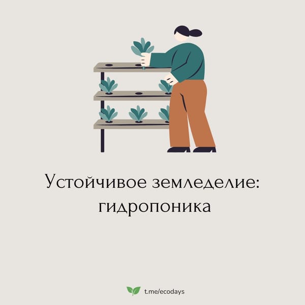 Мы часто слышим об альтернативных способах выращивания растений. Эти методы обещают не…