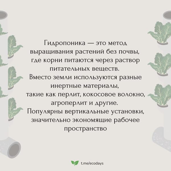 Мы часто слышим об альтернативных способах выращивания растений. Эти методы обещают не…