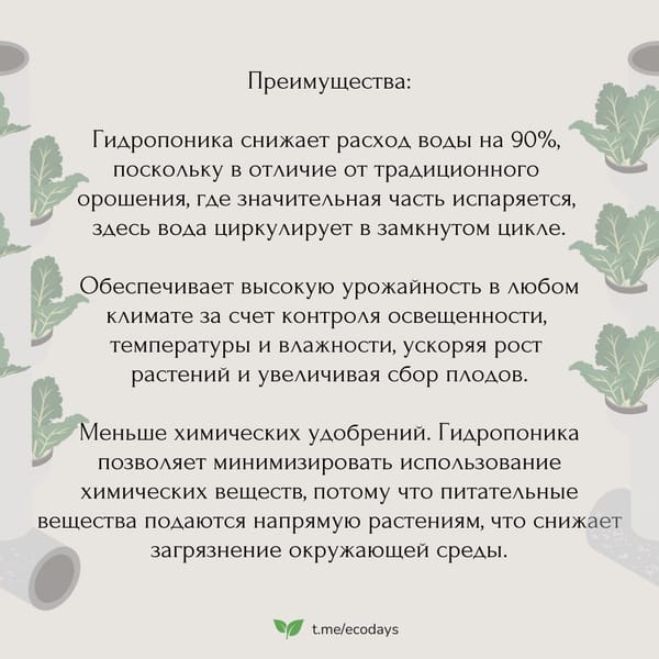 Мы часто слышим об альтернативных способах выращивания растений. Эти методы обещают не…