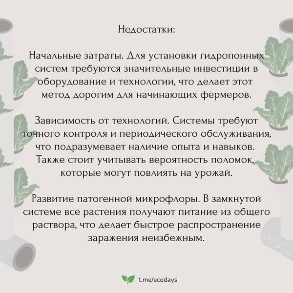 Мы часто слышим об альтернативных способах выращивания растений. Эти методы обещают не…
