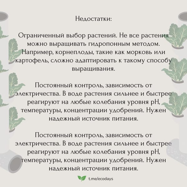 Мы часто слышим об альтернативных способах выращивания растений. Эти методы обещают не…