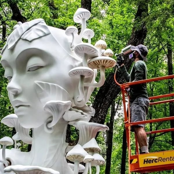 🌳 Лес великанов