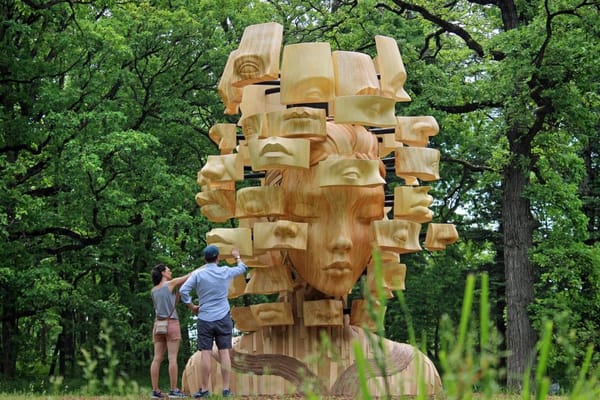 🌳 Лес великанов