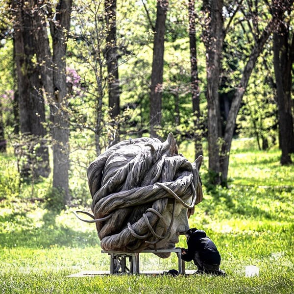 🌳 Лес великанов