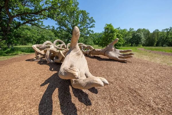🌳 Лес великанов