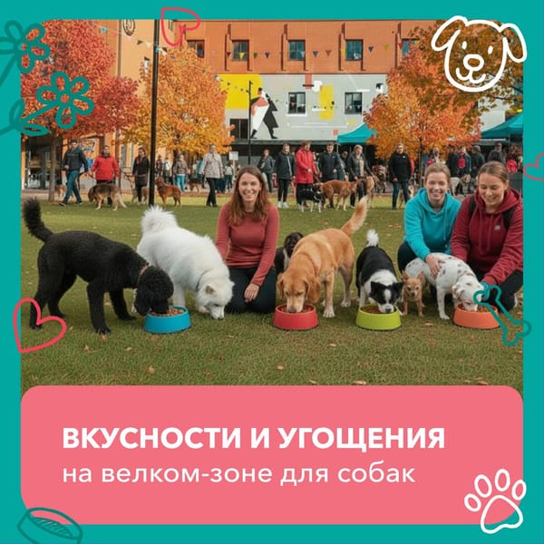 Москва, готовьтесь к самому доброму событию осени от фонда «Экосфера» — большой дог-фест! 🐾