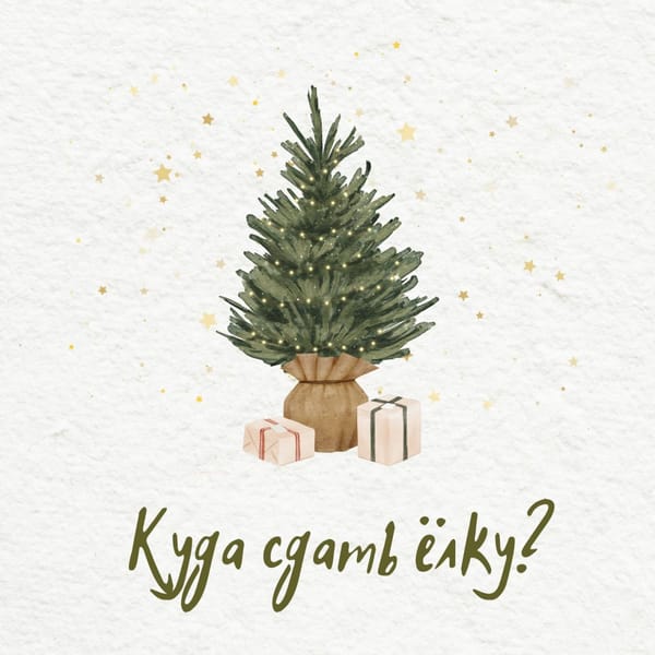 🎄Как расстаться с новогодней ёлкой экологично, а не по-варварски?