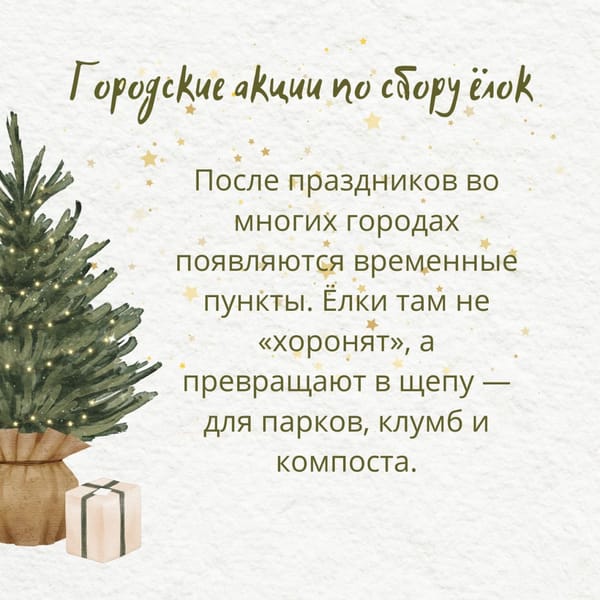 🎄Как расстаться с новогодней ёлкой экологично, а не по-варварски?