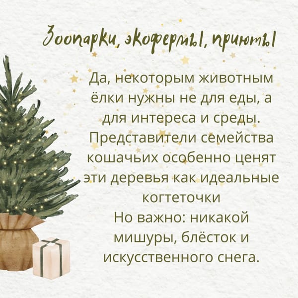 🎄Как расстаться с новогодней ёлкой экологично, а не по-варварски?