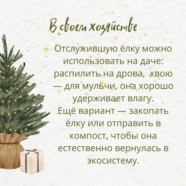 🎄Как расстаться с новогодней ёлкой экологично, а не по-варварски?