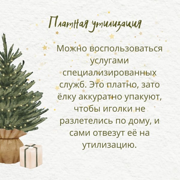🎄Как расстаться с новогодней ёлкой экологично, а не по-варварски?