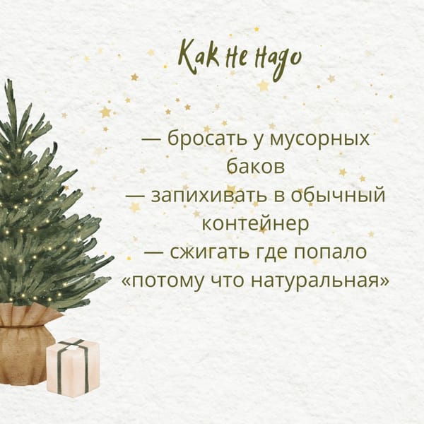 🎄Как расстаться с новогодней ёлкой экологично, а не по-варварски?