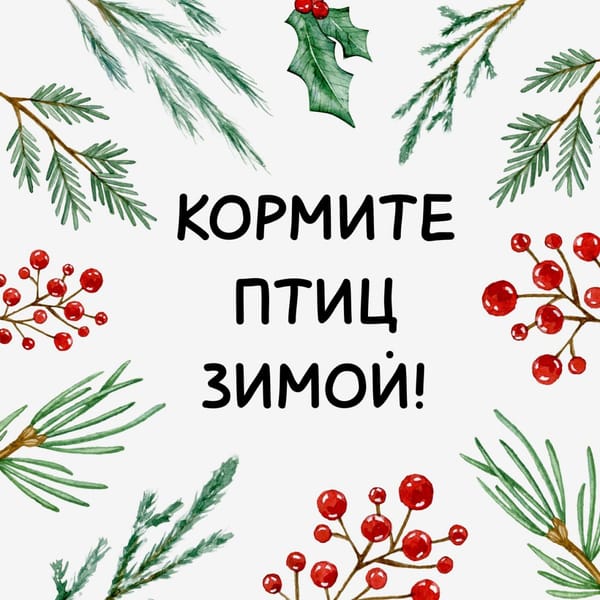 🐦 Подкармливая птиц зимой, мы спасаем не только их — но и деревья.