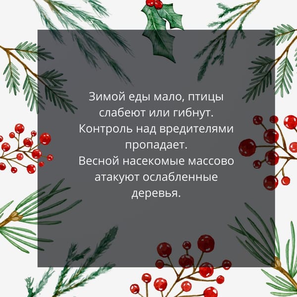 🐦 Подкармливая птиц зимой, мы спасаем не только их — но и деревья.