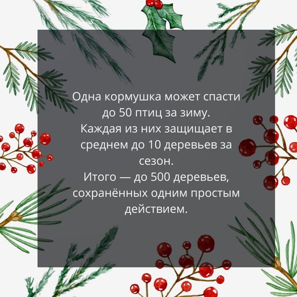 🐦 Подкармливая птиц зимой, мы спасаем не только их — но и деревья.