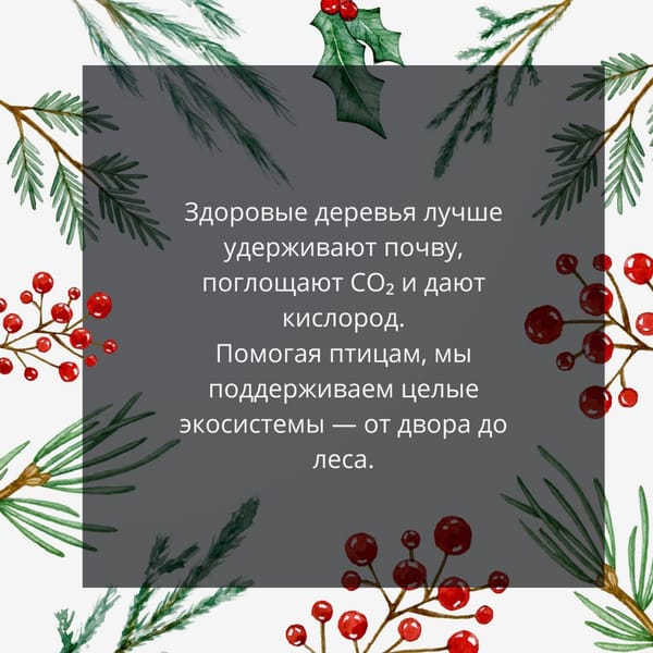 🐦 Подкармливая птиц зимой, мы спасаем не только их — но и деревья.