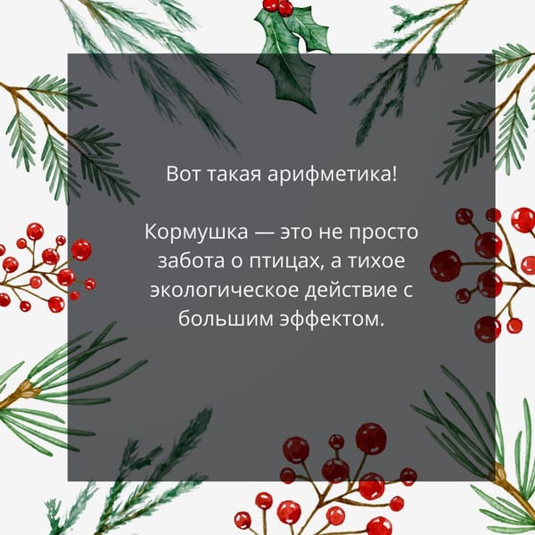 🐦 Подкармливая птиц зимой, мы спасаем не только их — но и деревья.