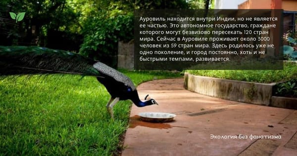 🌿Город Мира Ауровиль. Без политики, религии и национальных стереотипов🌿