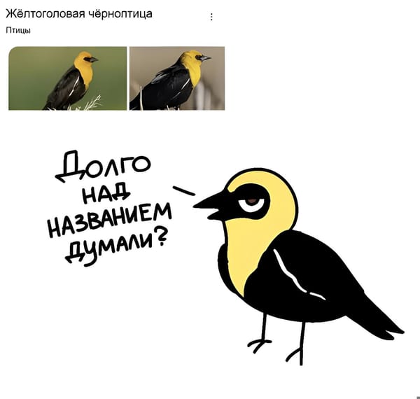 Автор неизвестен. Кто знает, напишите)
