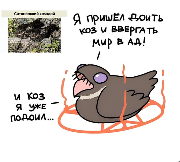 Автор неизвестен. Кто знает, напишите)