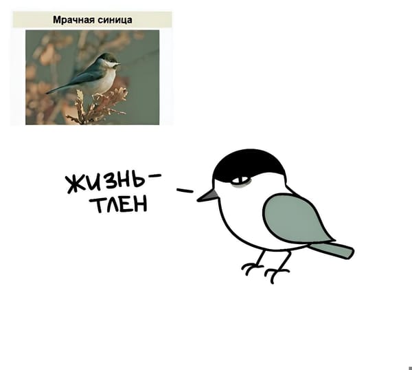 Автор неизвестен. Кто знает, напишите)