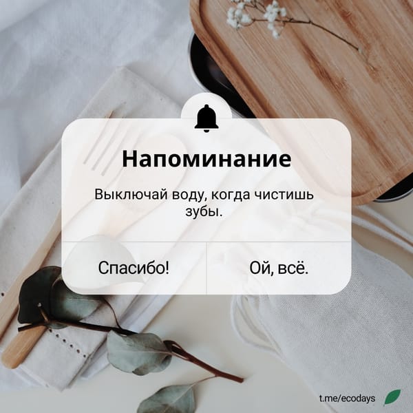 Экосоветы: Вы просили продолжение - мы делаем