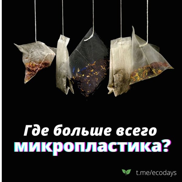 ☕️Любите начинать свой день с чашки чая? Будьте осторожны, исследование, опубликованное…