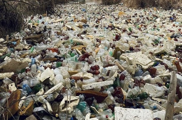 🌊Бутылки, пенопласт и другой мусор заполонили русло реки Калаус в Ставрополье
