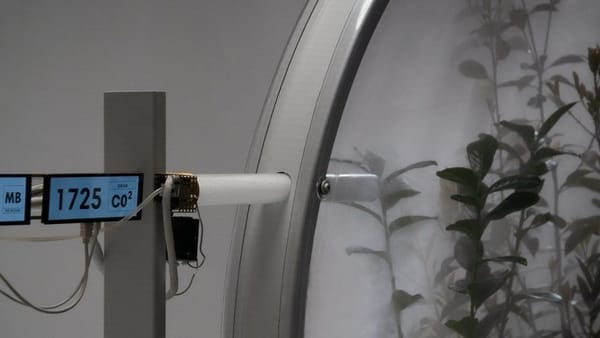 🌐 Интернет-след в окружающей среде