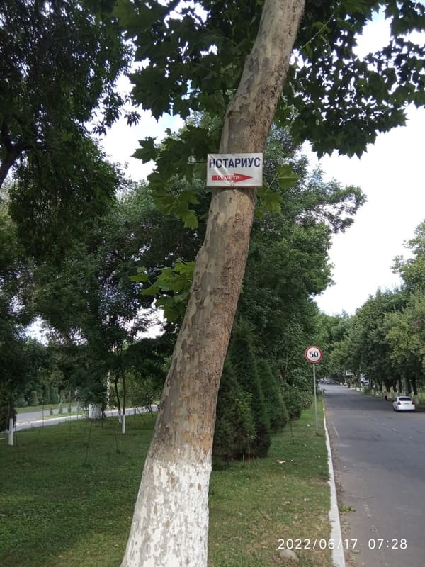 🌳 Наш читатель обратил внимание на распространенную проблему