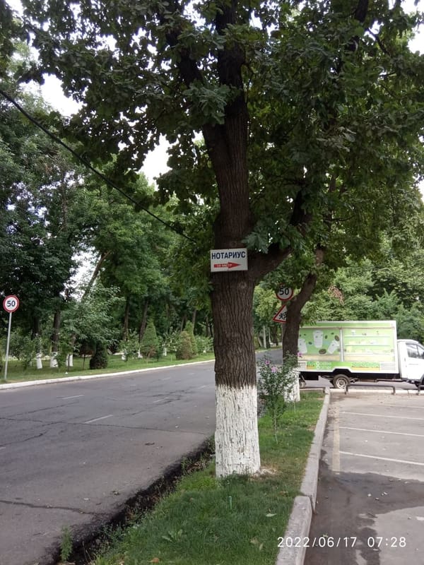 🌳 Наш читатель обратил внимание на распространенную проблему
