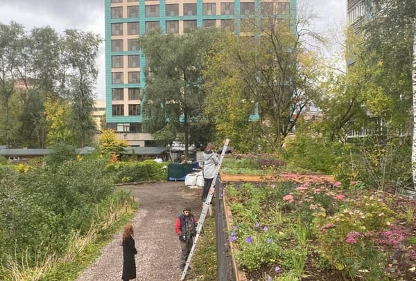Зеленая-зеленая Москва! 🌳