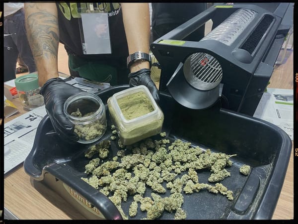 Asia International HEMP Expo или Конопля для устойчивого будущего  🌿
