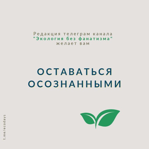 С чего начинается раздельный сбор мусора?