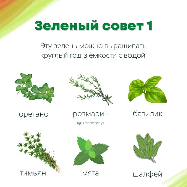 Простые и практичные лайфхаки для экологичного образа жизни в карточках от @ecodays 🔥