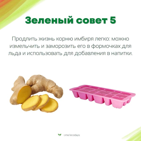 Простые и практичные лайфхаки для экологичного образа жизни в карточках от @ecodays 🔥